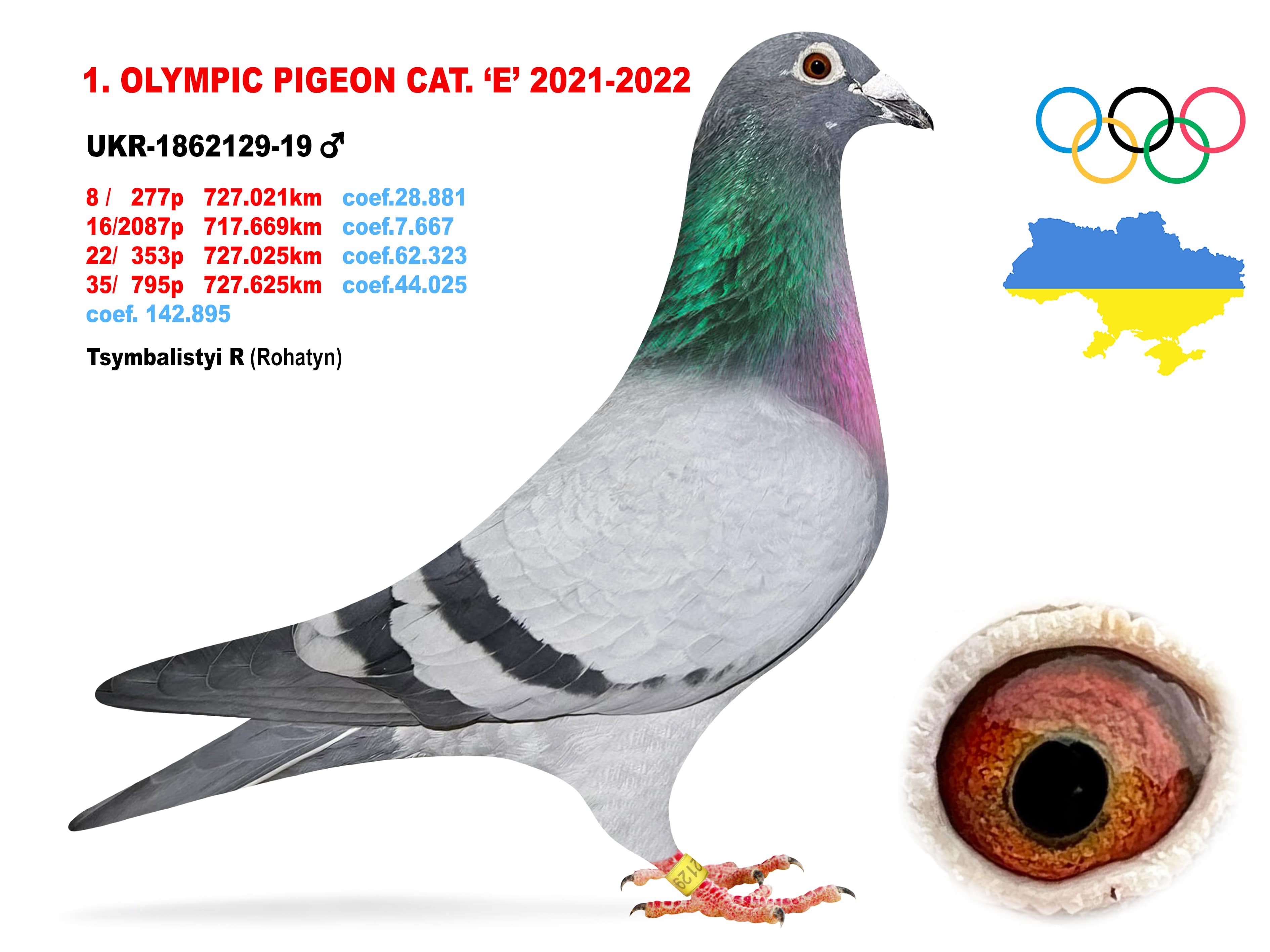 2022-E1